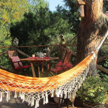 Domaine De La Carrauterie By Terre Insolite Sautin Eksteriør billede