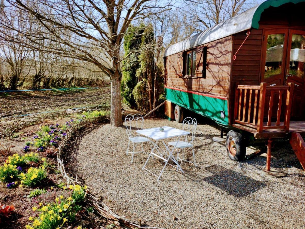 Domaine De La Carrauterie By Terre Insolite Sautin Eksteriør billede