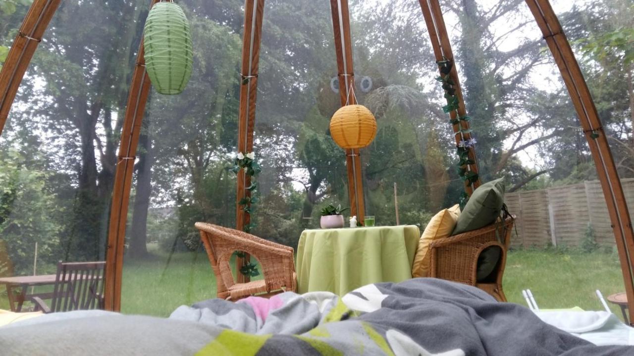 Domaine De La Carrauterie By Terre Insolite Sautin Eksteriør billede