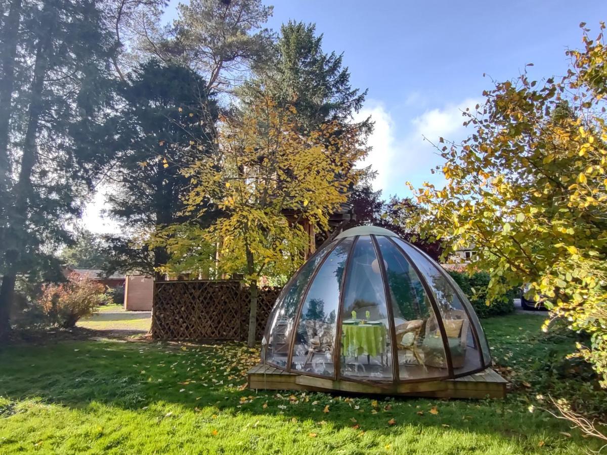 Domaine De La Carrauterie By Terre Insolite Sautin Eksteriør billede